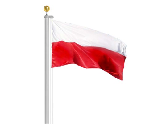Konsultacje społeczne dotyczące usytuowania masztu wraz z flagą państwową  w miejscu przy Urzędzie Miejskim w Pełczycach.