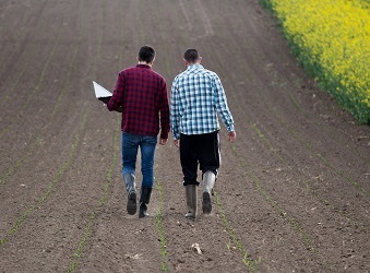 Młody rolnik 2020 – dla kogo 150 tys. zł wsparcia?